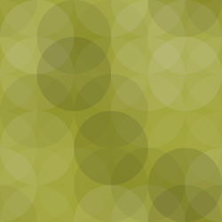 WP Multibyte Patch