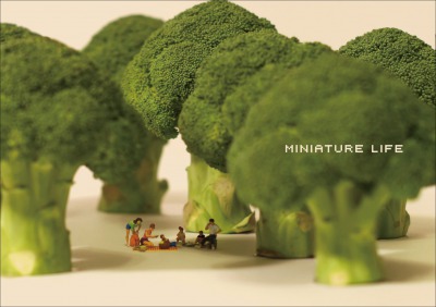MINIATURE LIFE