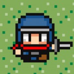 Rogue Ninja